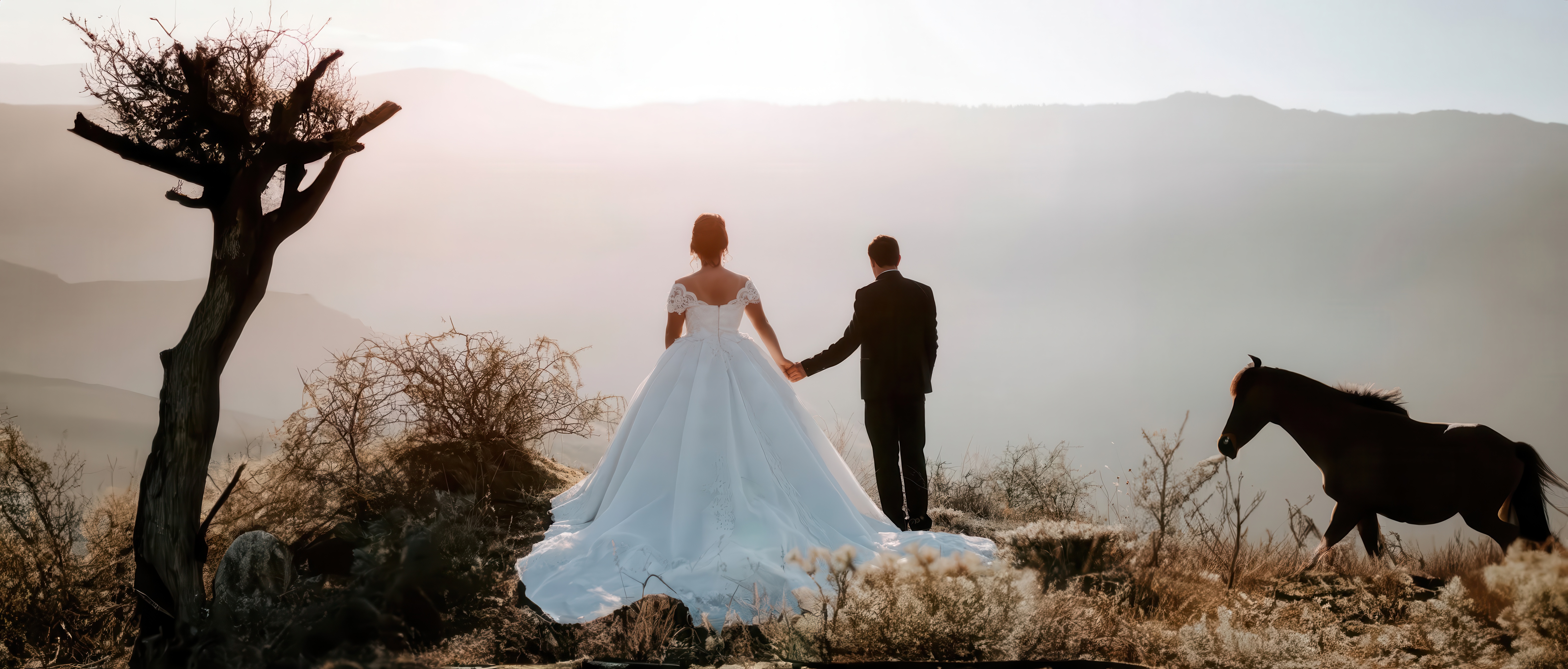 Wedding photography highlight